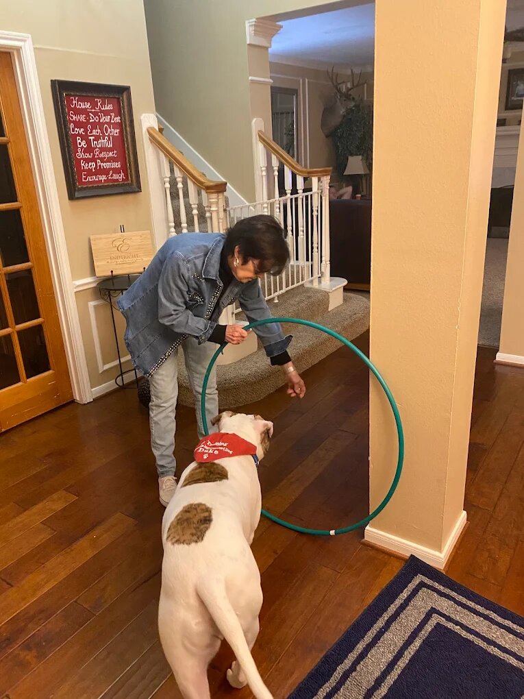 Dog training Kingwood TX
