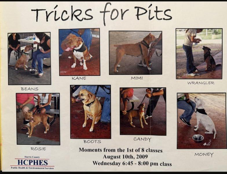 Tricks for Pits flyer, August 2009 class