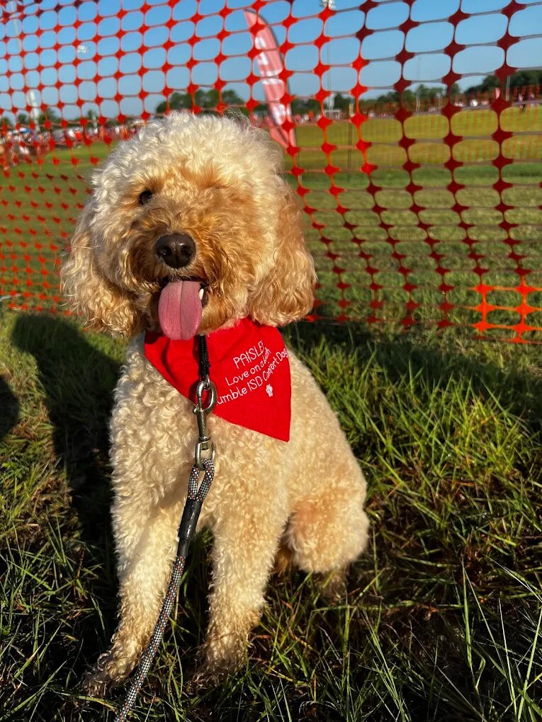 Dog training Kingwood TX